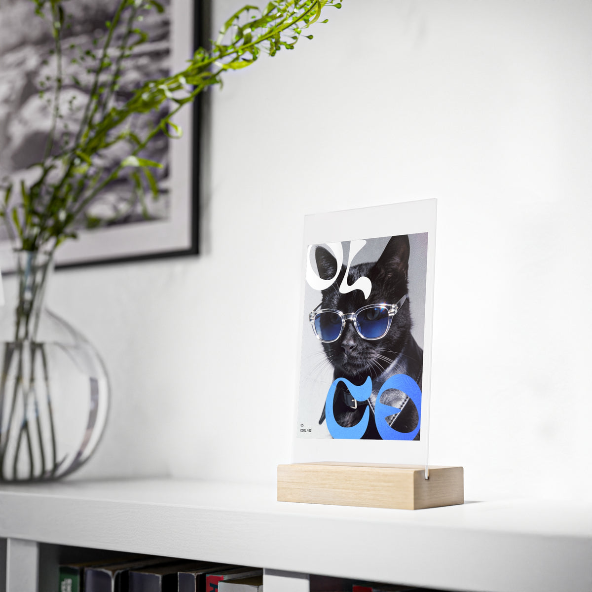 Editorial Cat Art Collection — COOL | 02