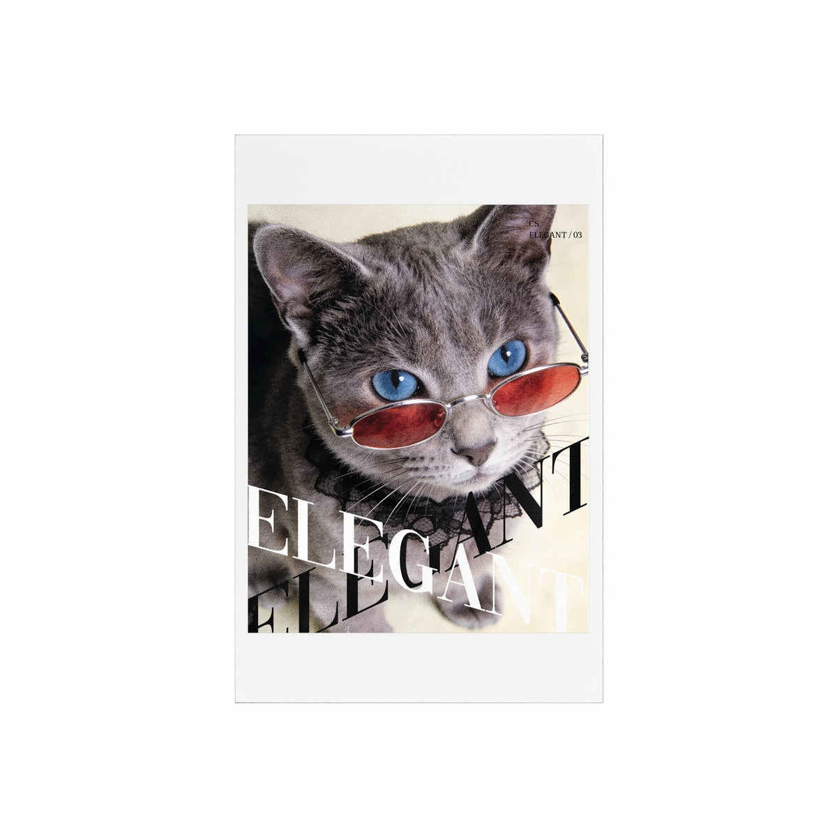 Editorial Cat Art Collection — ELEGANT | 03