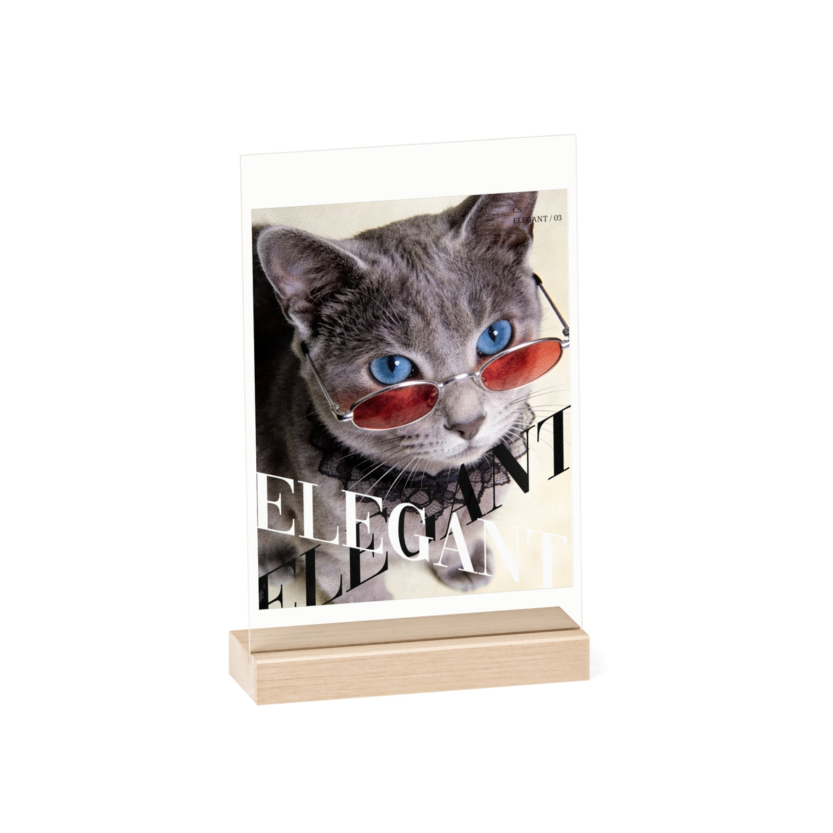 Editorial Cat Art Collection — ELEGANT | 03