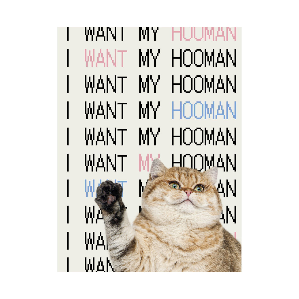 Cat Poster — "I Want My Hooman" Satin Wall Art
