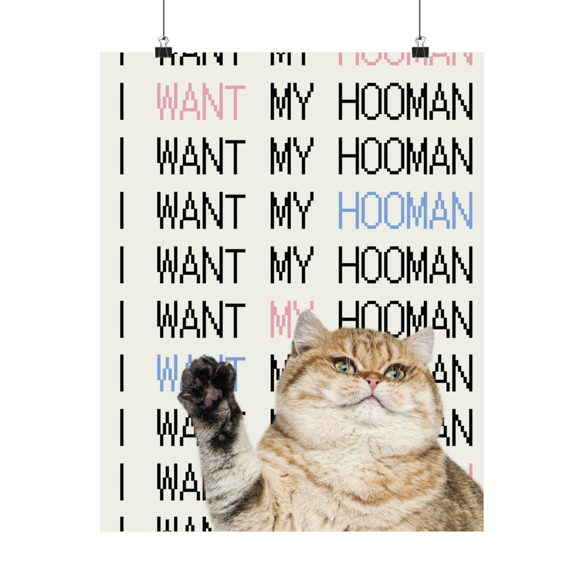 Poster — I Want My Hooman