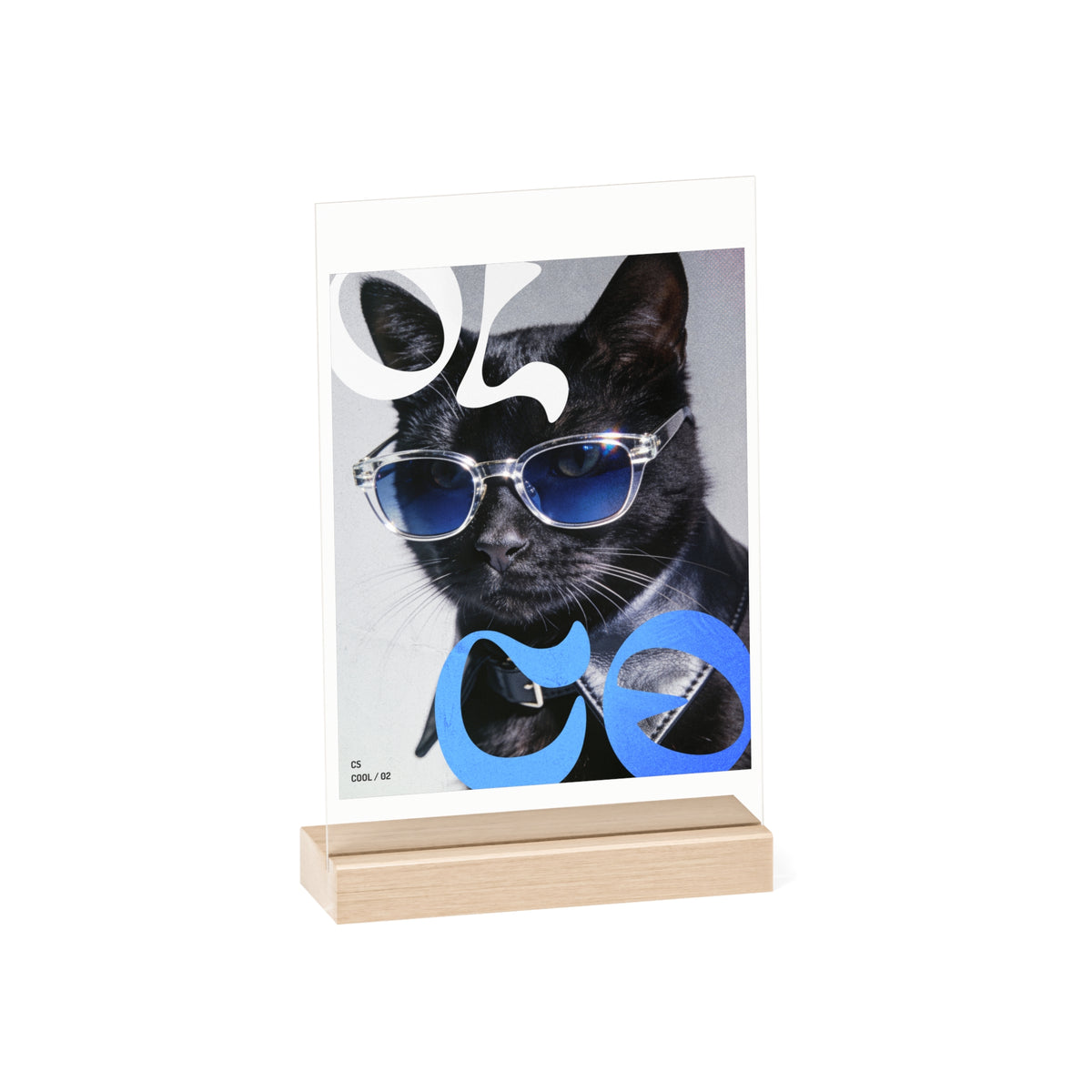 Editorial Cat Art Collection — COOL | 02